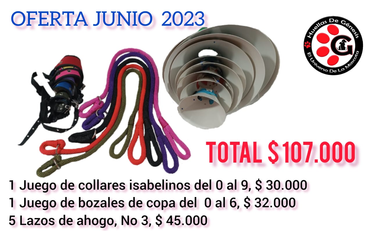 Oferta de Junio, vigente
