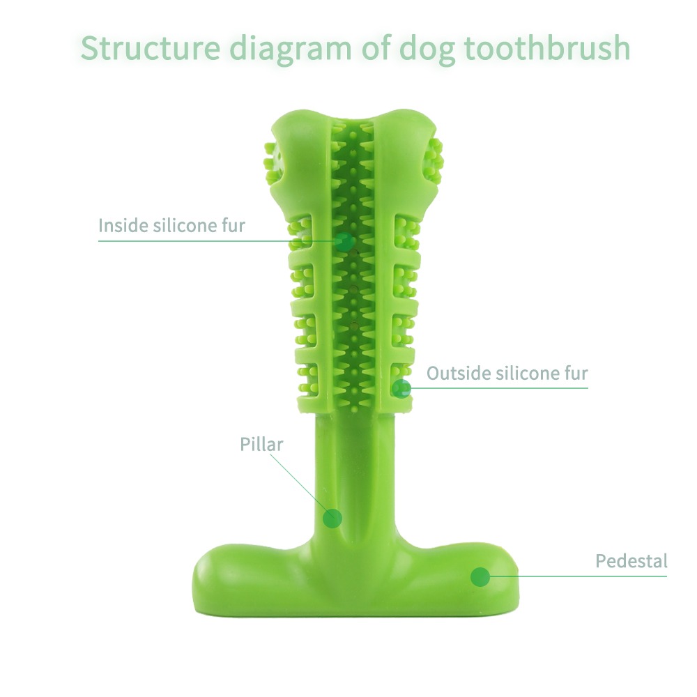 main-image-6