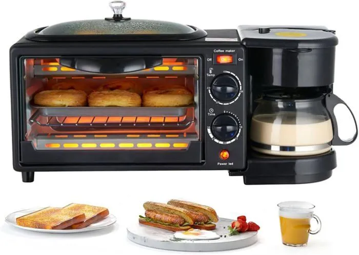 17253091331725306374horno4