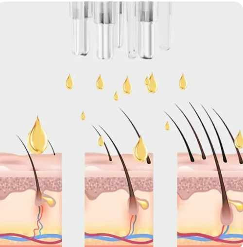 1725380322Captura de pantalla 2024-08-25 182847 - copia