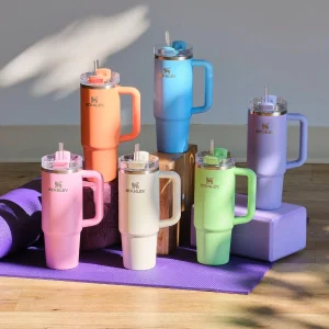 Vaso Stanley Alta Gama