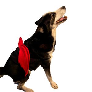 Disfraz Mascota Grande Diablo Talla 5xl