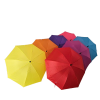 1730316258N06 Decorativas