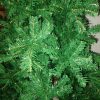 Arbol De Navidad 2.10 Metros Verde - Thumbnail Image 2