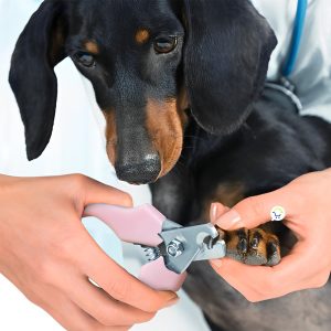 Máquina Motilar Mascotas