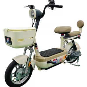 Bicicleta Eléctrica 500 W Classic