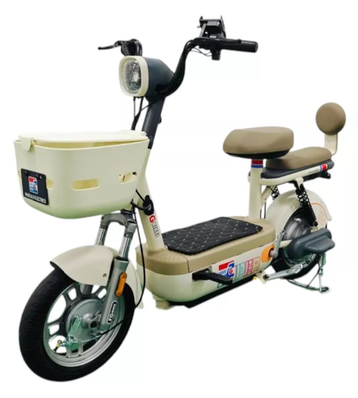 1741030117bicicleta electrica 500 w